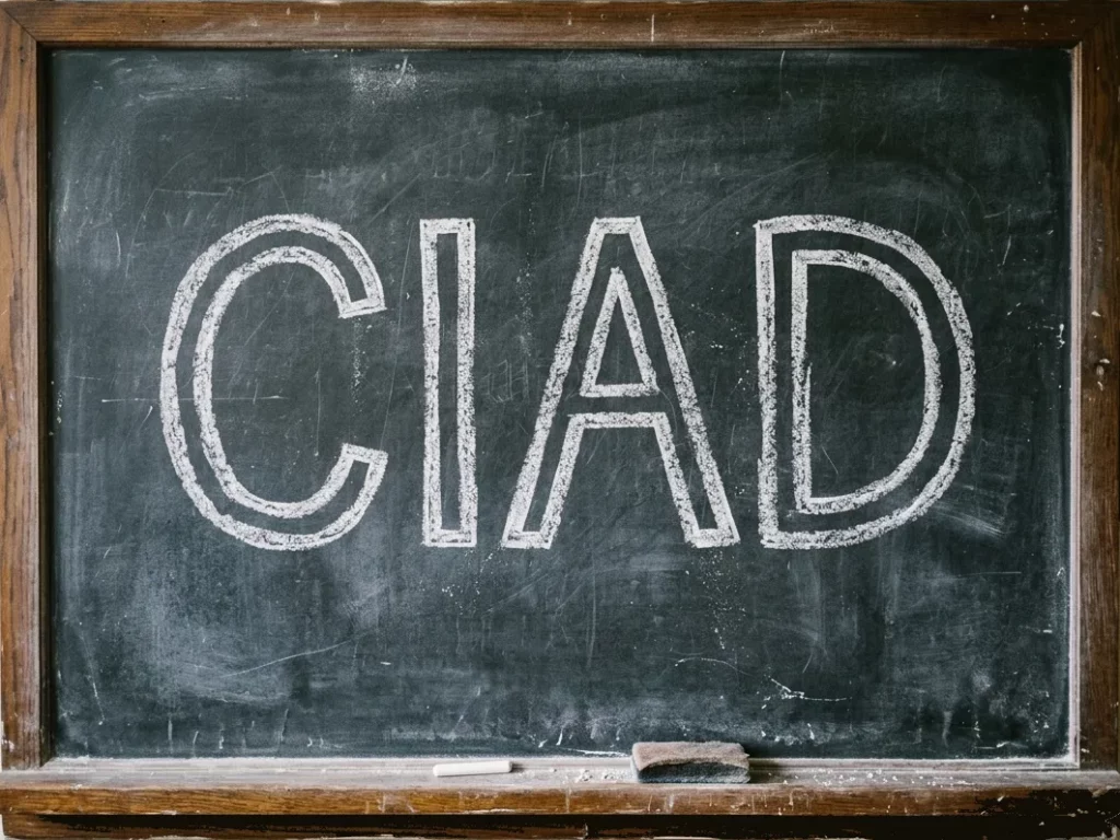 ciad certificazione informatica obbligatoria per l'inserimento in terza fascia personale ata