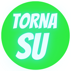 Back to Top